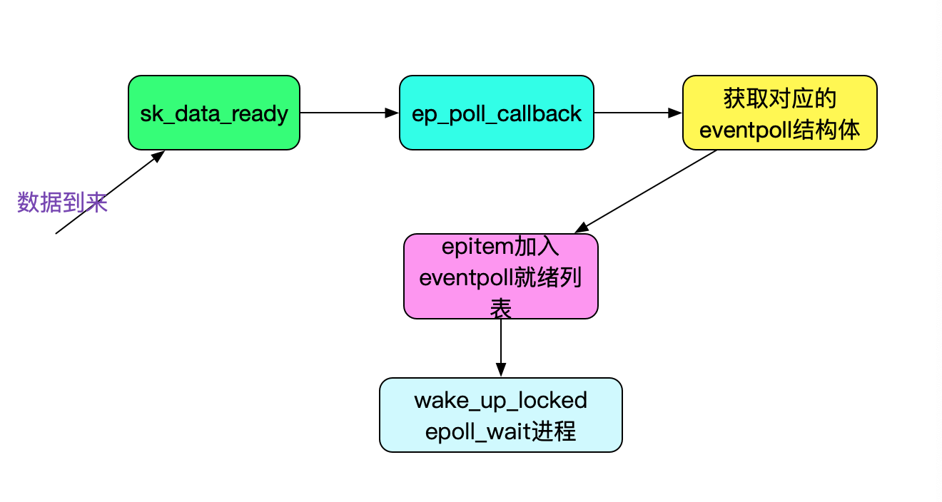 codegen