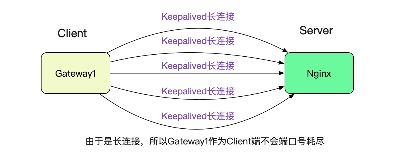 codegen
