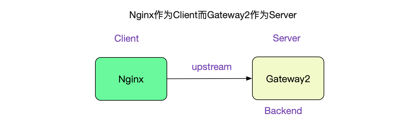 codegen
