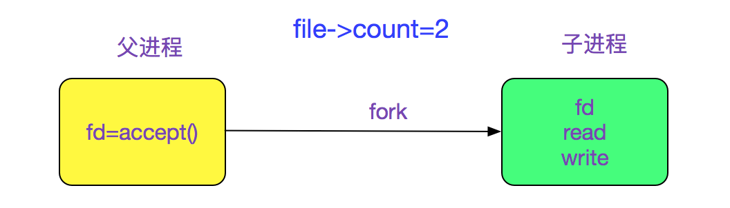 codegen