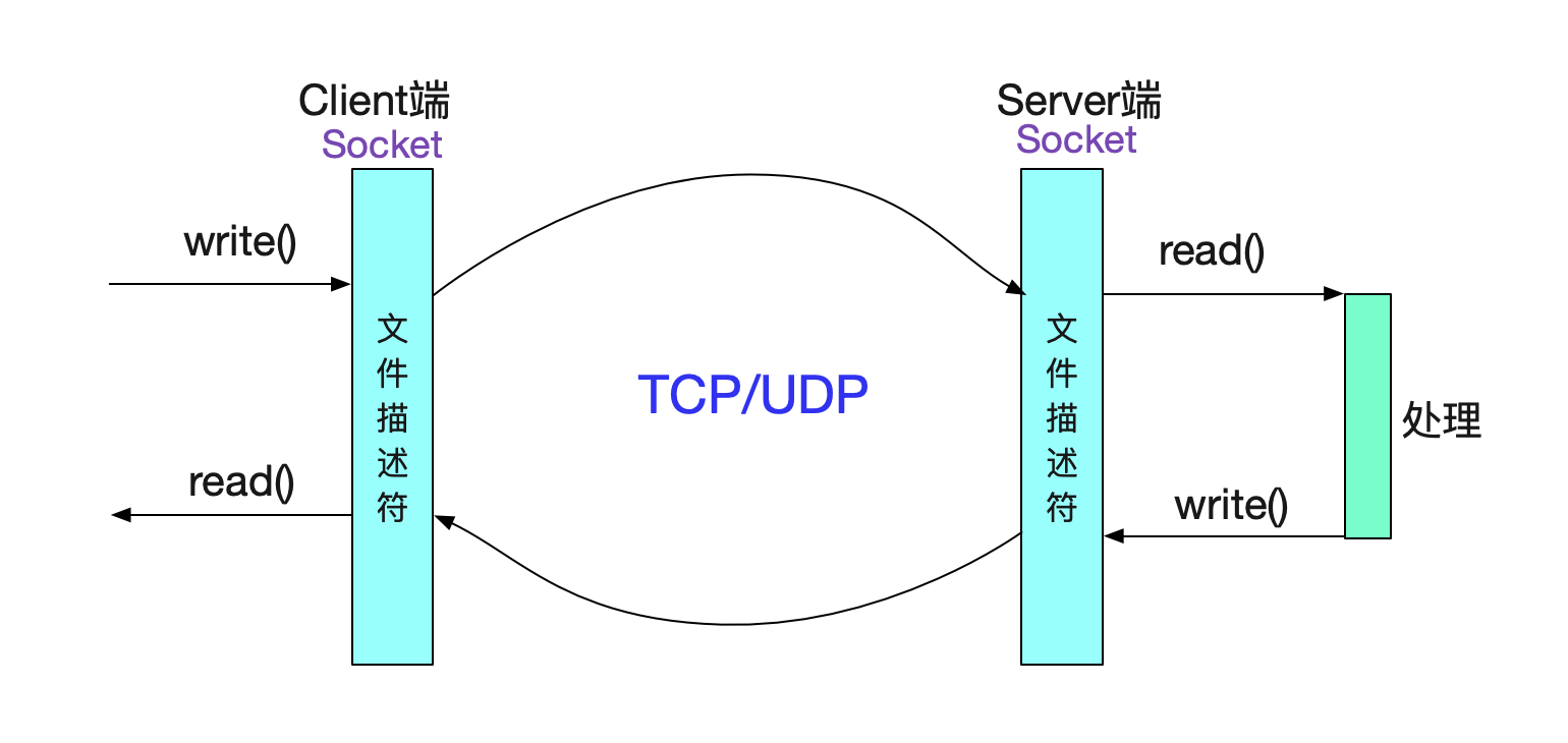 codegen